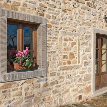 Villa Liz Tuscany, Private Pool, Hot Tub, Property Fenced, Pets Allowed Poppi Exteriör bild