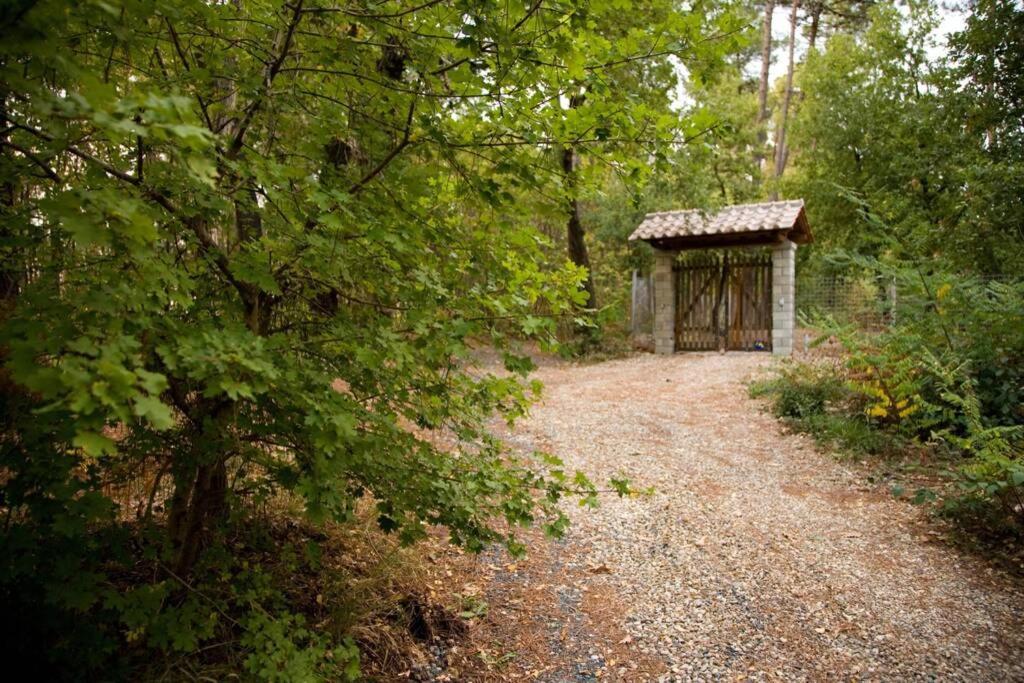 Villa Liz Tuscany, Private Pool, Hot Tub, Property Fenced, Pets Allowed Poppi Exteriör bild
