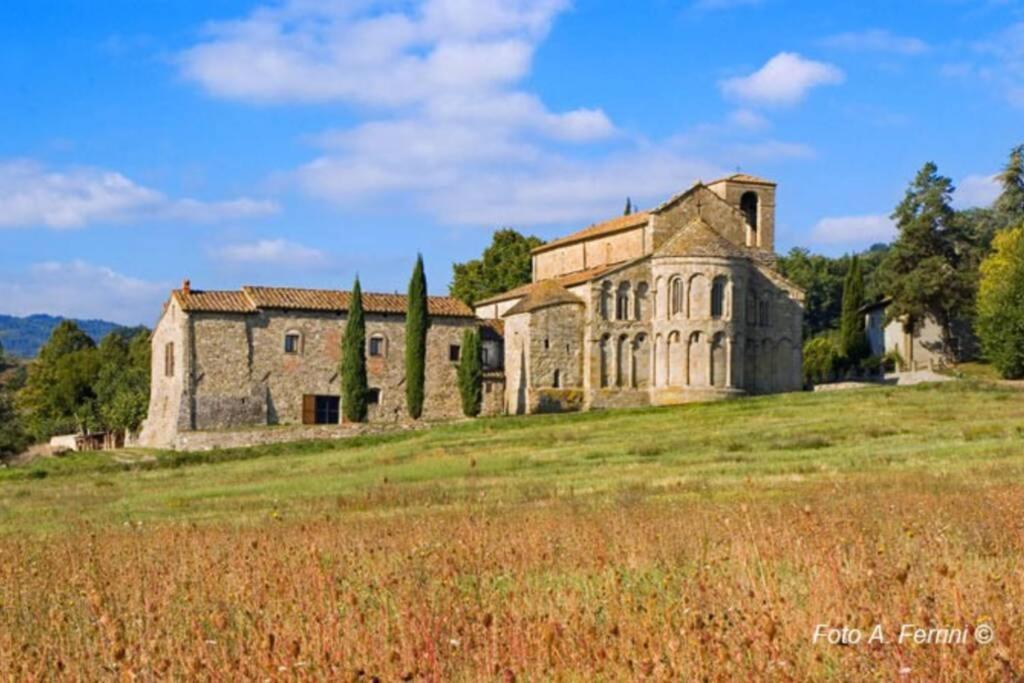 Villa Liz Tuscany, Private Pool, Hot Tub, Property Fenced, Pets Allowed Poppi Exteriör bild