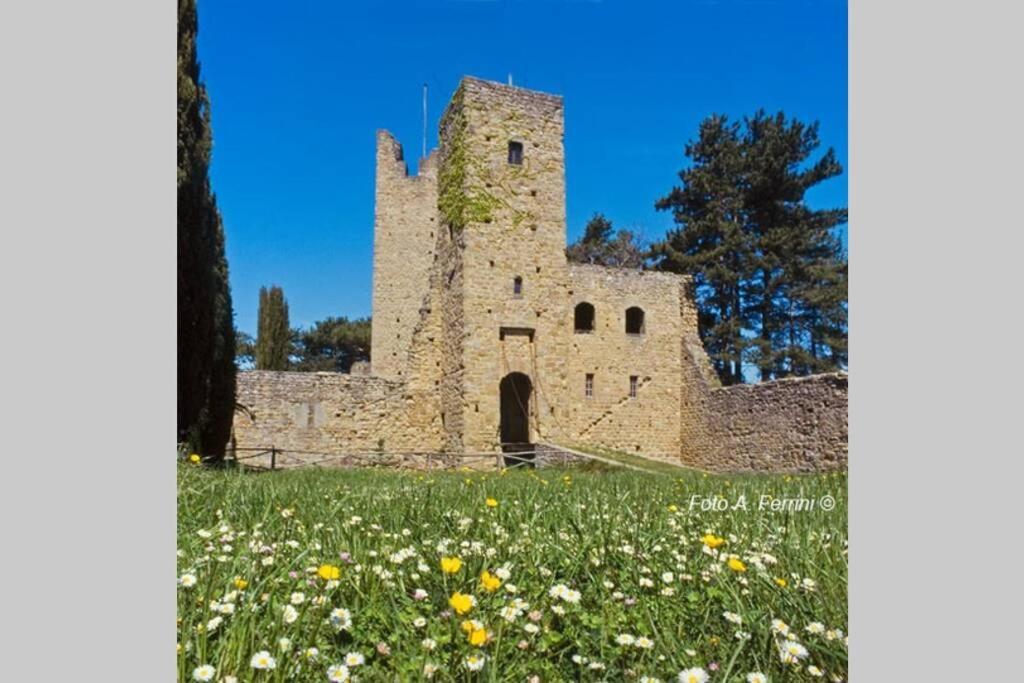 Villa Liz Tuscany, Private Pool, Hot Tub, Property Fenced, Pets Allowed Poppi Exteriör bild