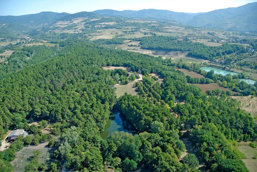 Villa Liz Tuscany, Private Pool, Hot Tub, Property Fenced, Pets Allowed Poppi Exteriör bild