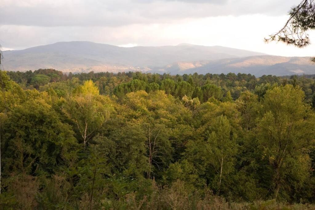 Villa Liz Tuscany, Private Pool, Hot Tub, Property Fenced, Pets Allowed Poppi Exteriör bild